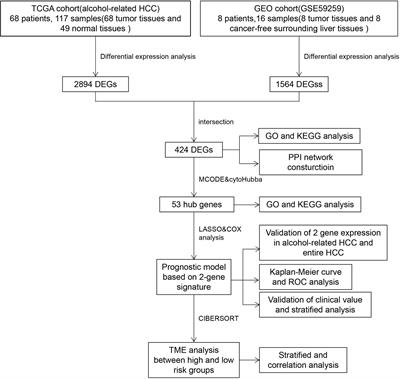 Identification of a Prognostic Model Based on 2-Gene Signature and Analysis of Corresponding Tumor Microenvironment in Alcohol-Related Hepatocellular Carcinoma